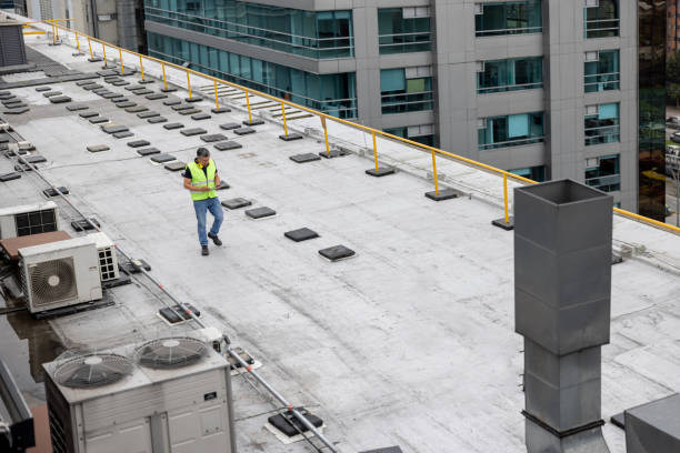 Best Roof Waterproofing  in Zelienople, PA