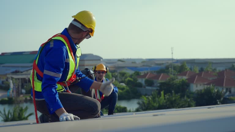Best Metal Roofing Installation  in Zelienople, PA