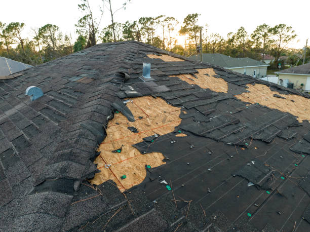 Best Gutter Installation and Repair  in Zelienople, PA
