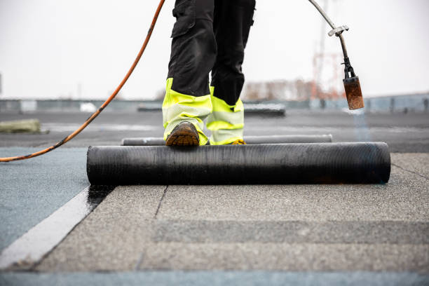 Best Gutter Installation and Repair  in Zelienople, PA