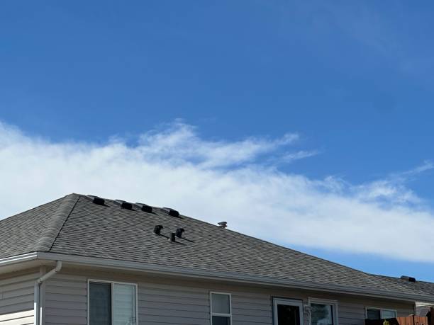Best Storm Damage Roof Repair  in Zelienople, PA