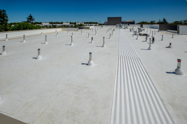 Best Asphalt Shingle Roofing  in Zelienople, PA